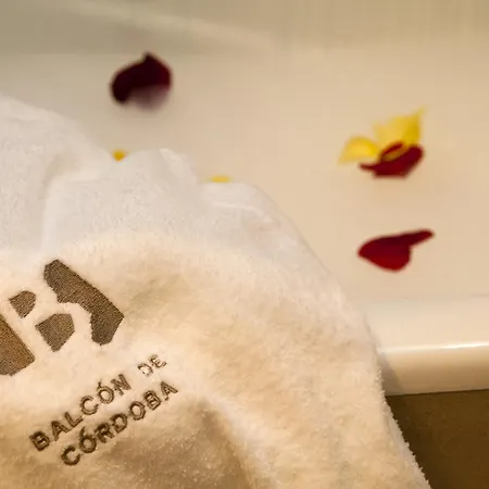 Hotel Balcón De Córdoba